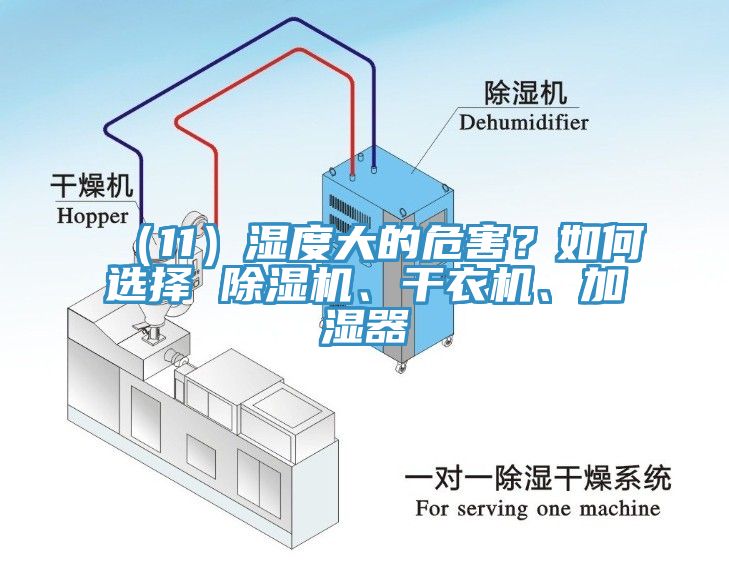 （11）濕度大的危害？如何選擇 除濕機(jī)、干衣機(jī)、加濕器